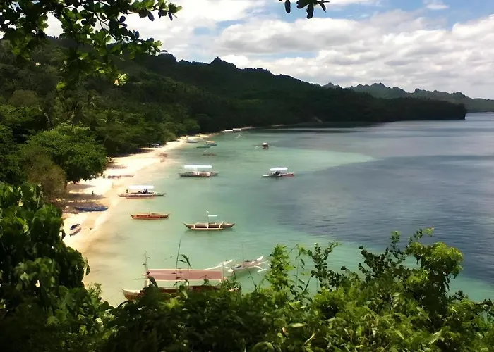 Nataasan Beach Resort And Dive Center Sipalay