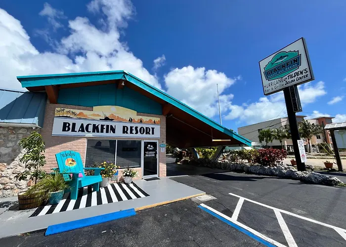 Blackfin And Marina