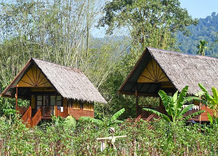 Our Jungle Camp - Eco Resort
