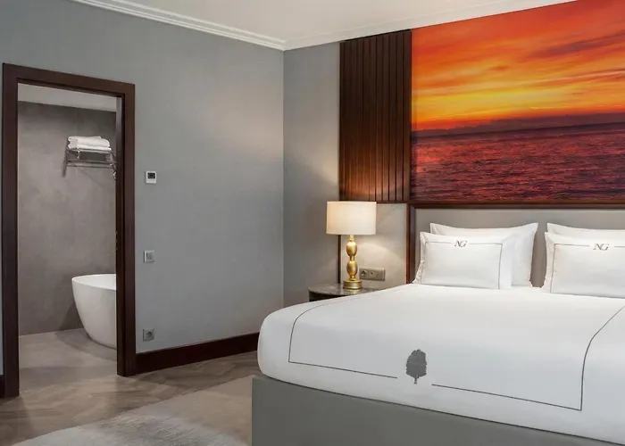Hotel Ng Sapanca Wellness & Convention