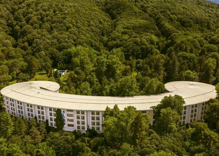 Ng Sapanca Wellness & Convention Hotel