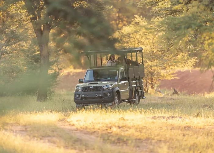 Wabi Private Luxury Game Reserve Okatuwo