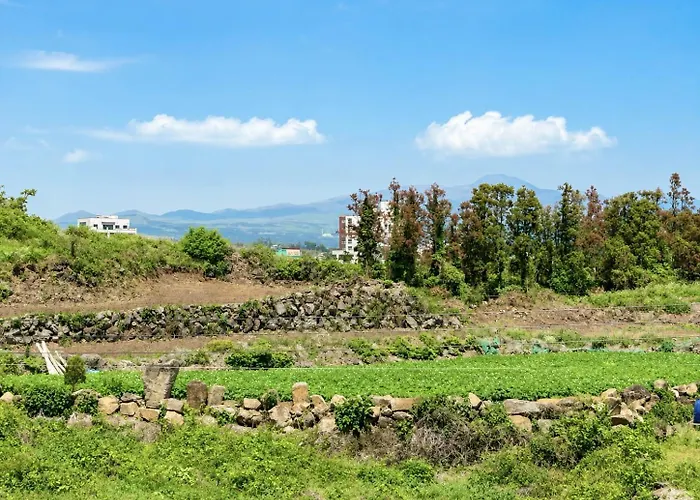 Y Resort Jeju