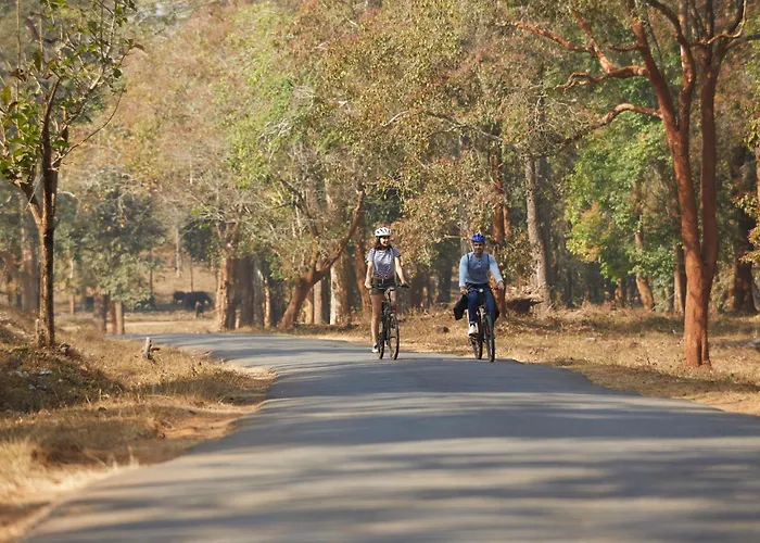 Sterling Wayanad
