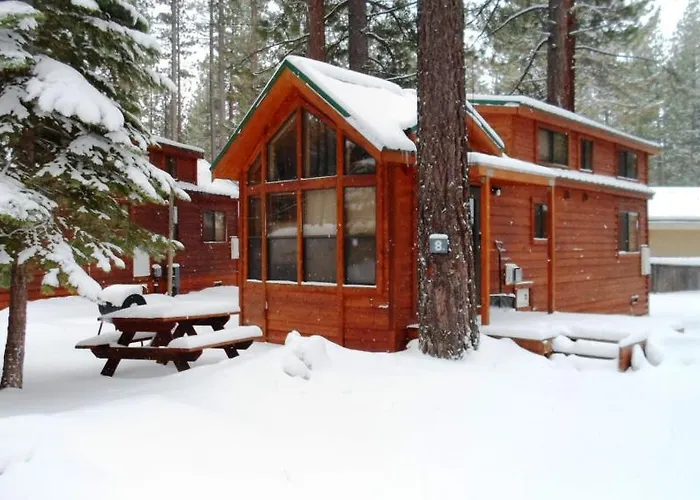 Cedar Pines Resort