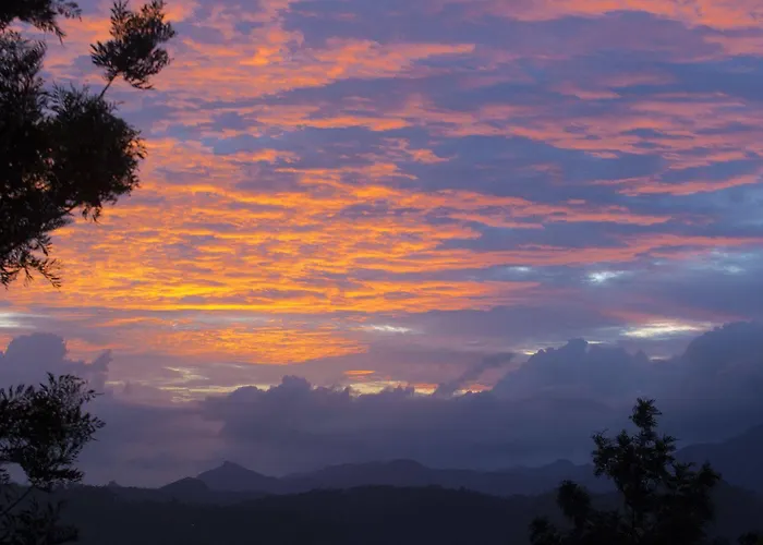 Dream Catcher Resort Munnar