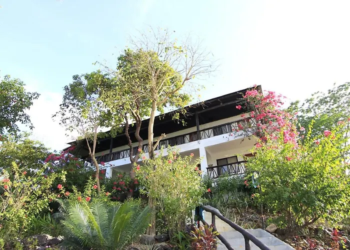 Discovery Island Resort Corón
