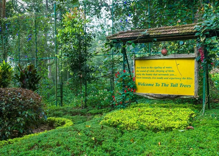 The Tall Trees Munnar